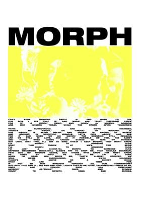 Morph TOP