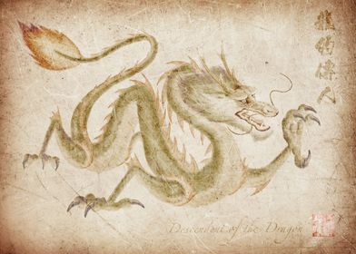 Descendent of the Dragon1