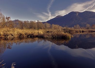 winter reflection on lake