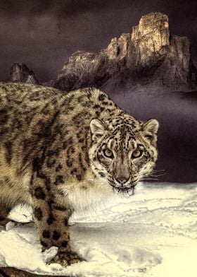 Warrior Snow Leopard