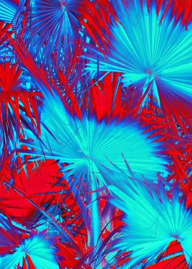 tropical palm leaves