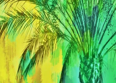 palm tree in green yellow