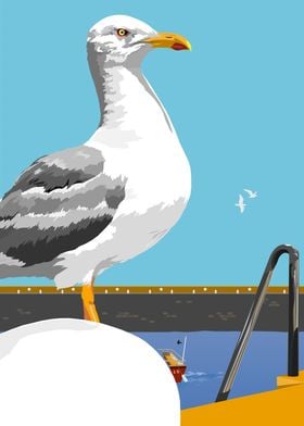 Seagull on the pier