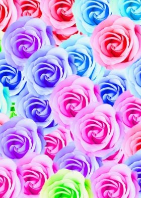 colorful rose pattern