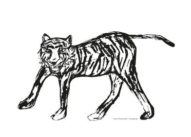 Tiger white black drawing