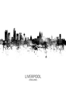 Skyline Portrait Bw-preview-1