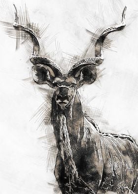 Kudu