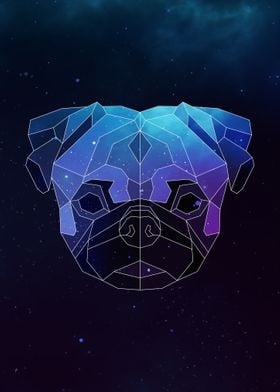 Galaxy Pug