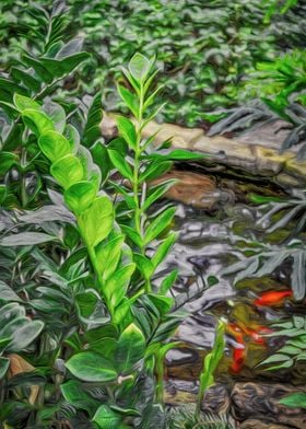 Tropical Koi Pond