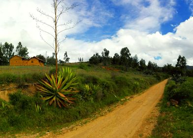 Mountain Road