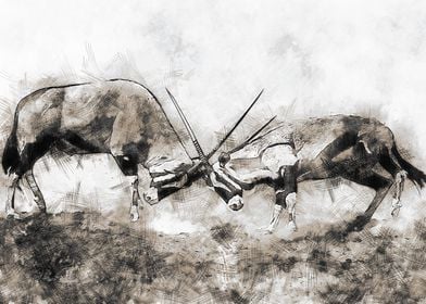 Oryx Fight