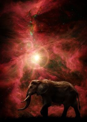 Cosmic Elephant