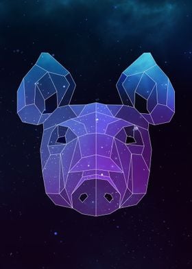 Galaxy Pig