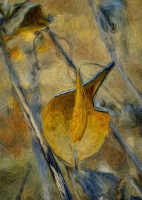 Milkweed Pod