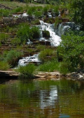 Stream Grass Rocks