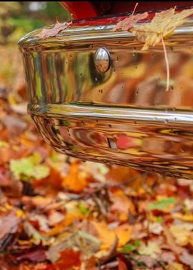 Chrome Bumper Autumn