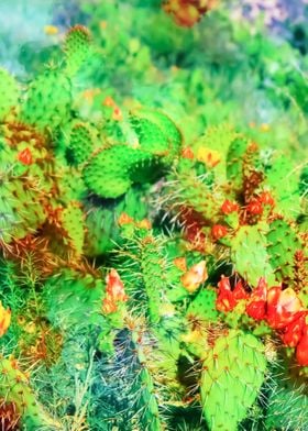 green cactus with flower