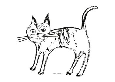 Cat white black sketch