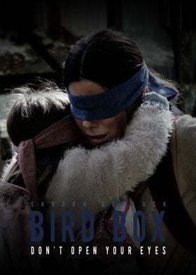 Bird box 