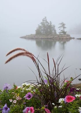 Early Morning Fog