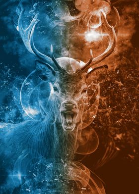 Cute And Cool Animals-preview-3