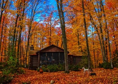 Autumn Log Cabin