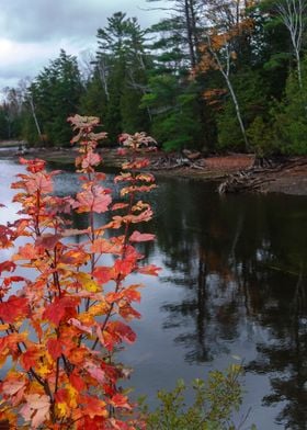 Haliburton Fall Colors