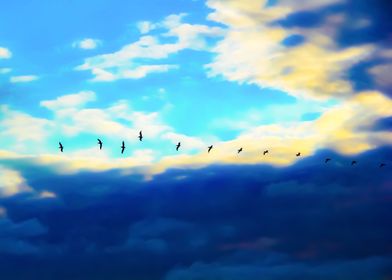 bird flying over blue sky