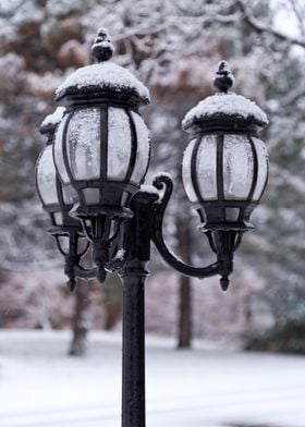 Winter Lamps