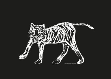 Tiger black white drawing