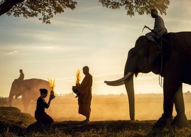 Thai Countryside Lifestyle