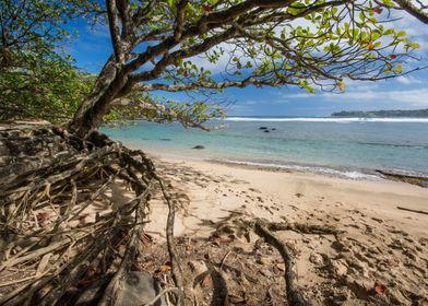 Haven in Kauai