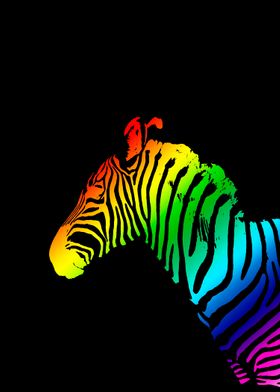 Technicolor Zebra