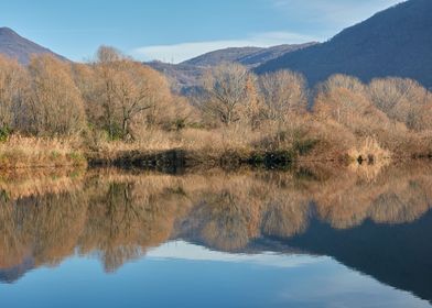 winter reflection on lake