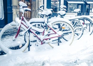 Snowey Bikes