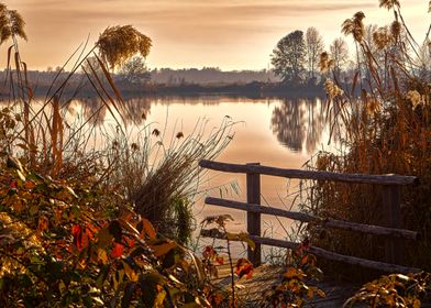 winter reflection on lake