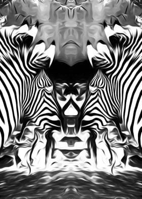 zebra in black and white