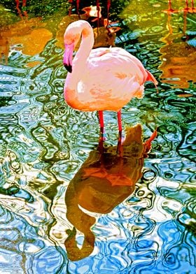 Mirrored flamingo 