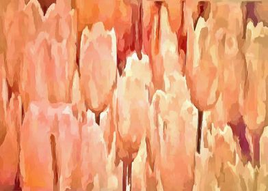 Coral Tulips Abstract Flor