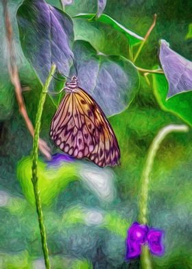 Butterfly on Purple Flower