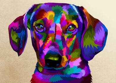 colorful Dachshund