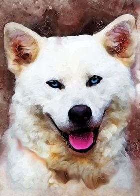 Akita Inu dog