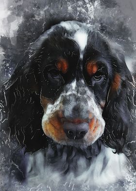 Cocker Spaniel dog