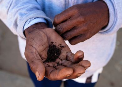 Tobacco Hands