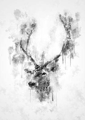 Elk Head Black and White