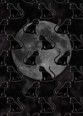 Black Cats Full Moon