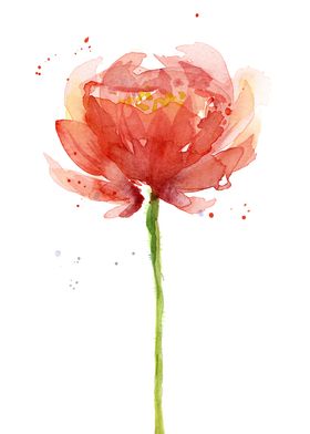 Red Flower Watercolor