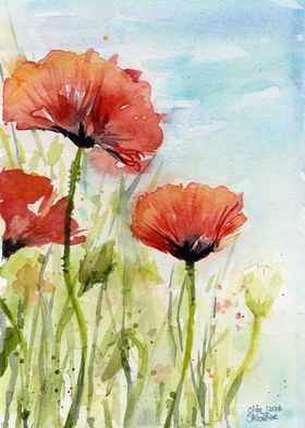 Poppy Field Watercolor