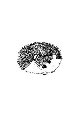 Emo Hedgehog