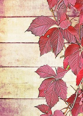 colorful autumn leaf